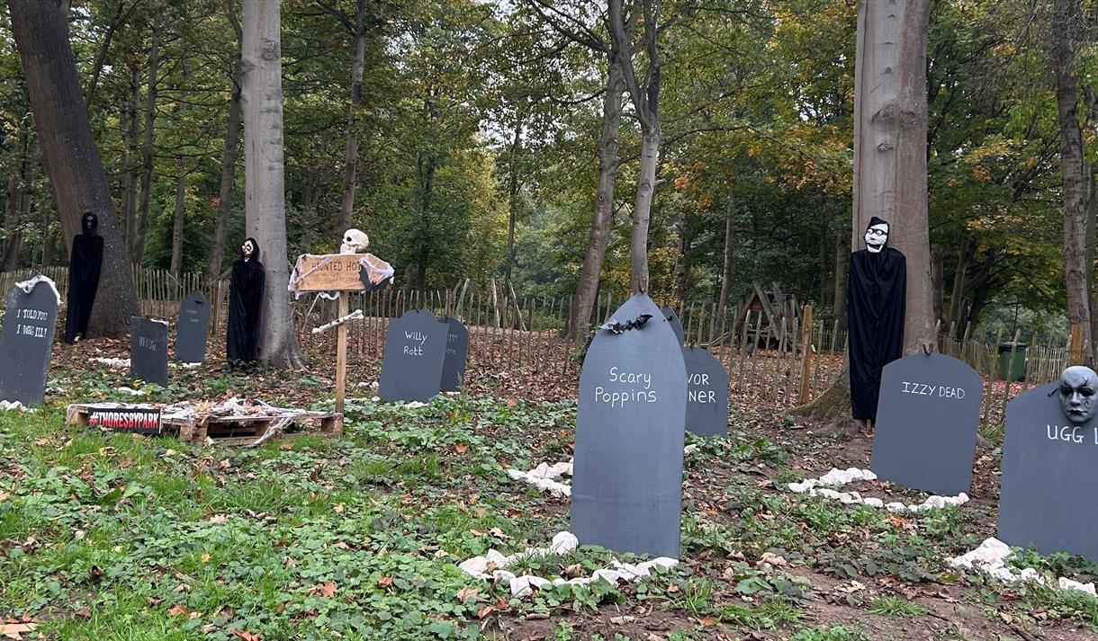 Halloween Trail at Thoresby Park
