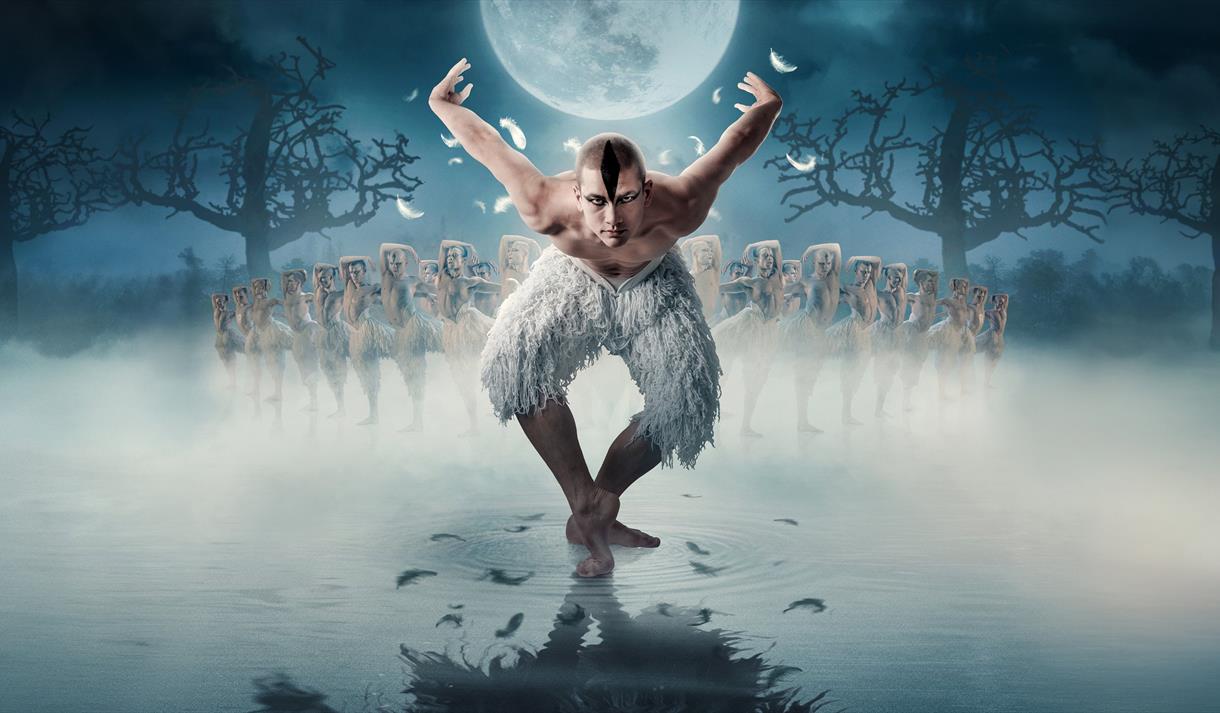 Swan Lake