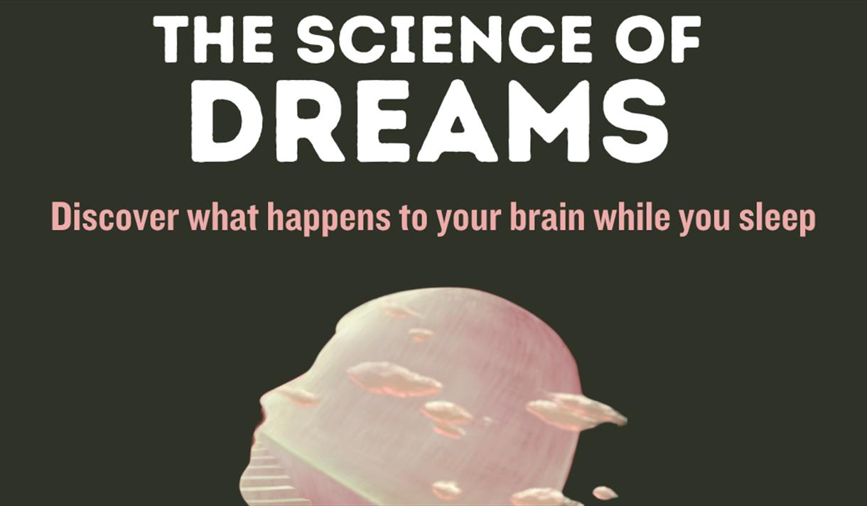 SEED Talks – The Science of Dreams
