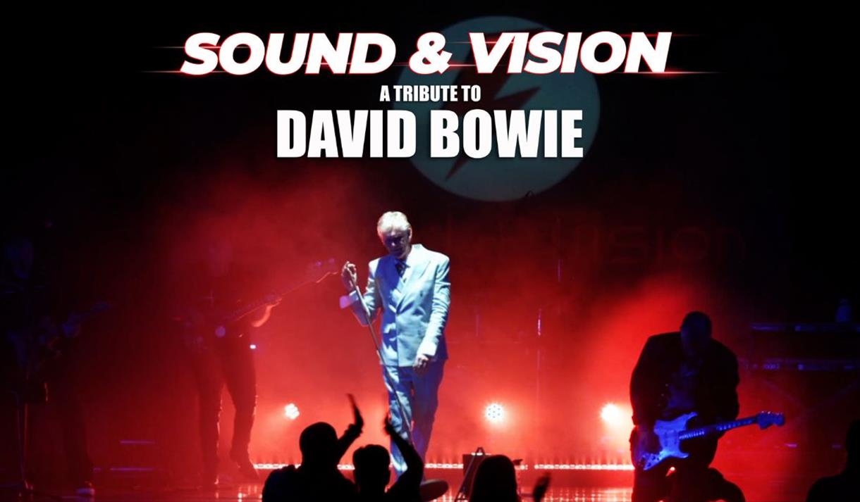david bowie tribute