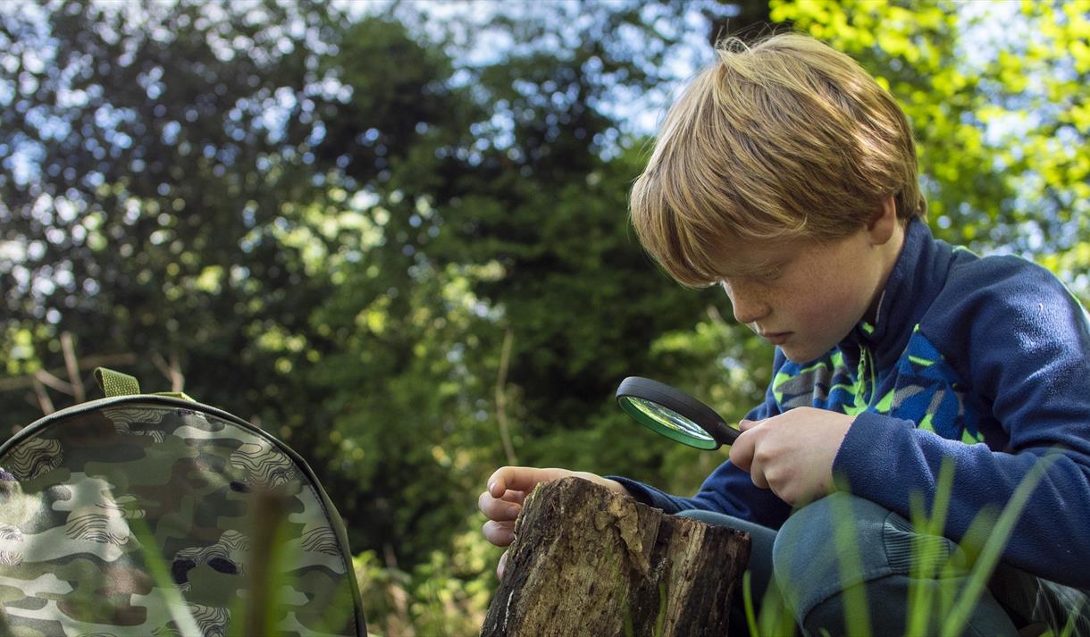 kid exploring
