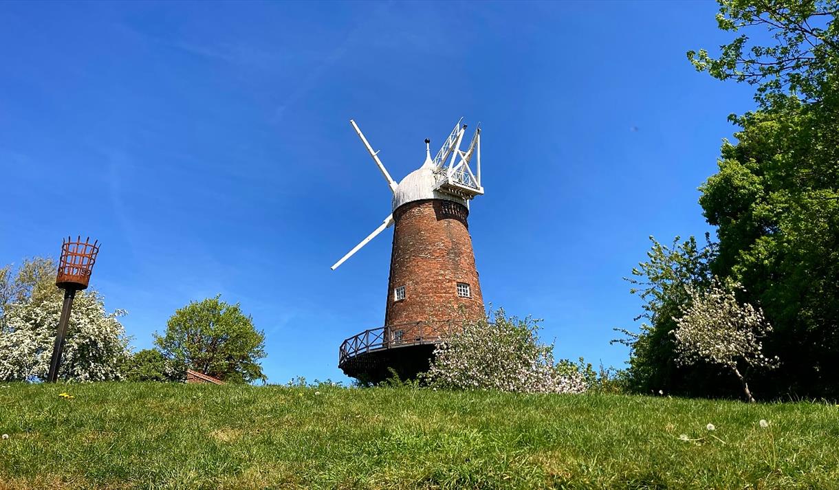 Green's windmill
