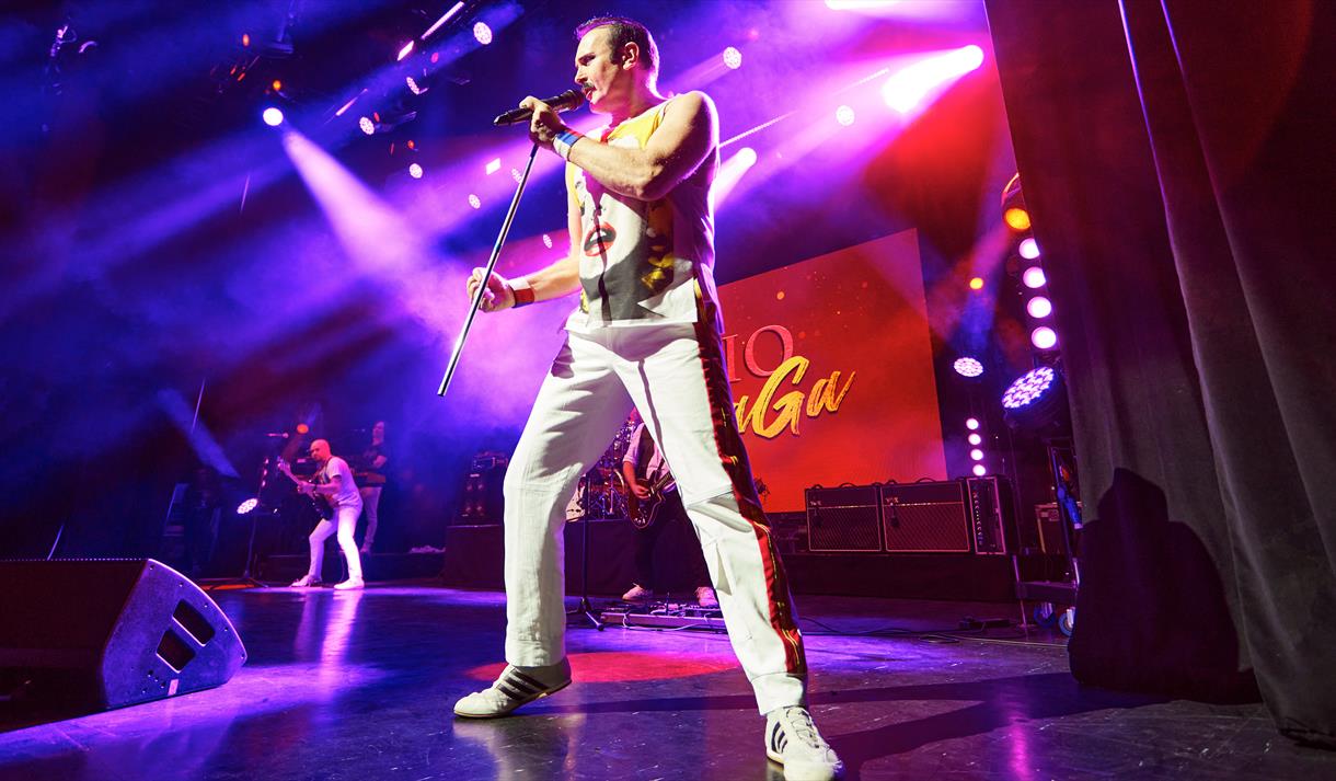 image of freddie mercury from queen