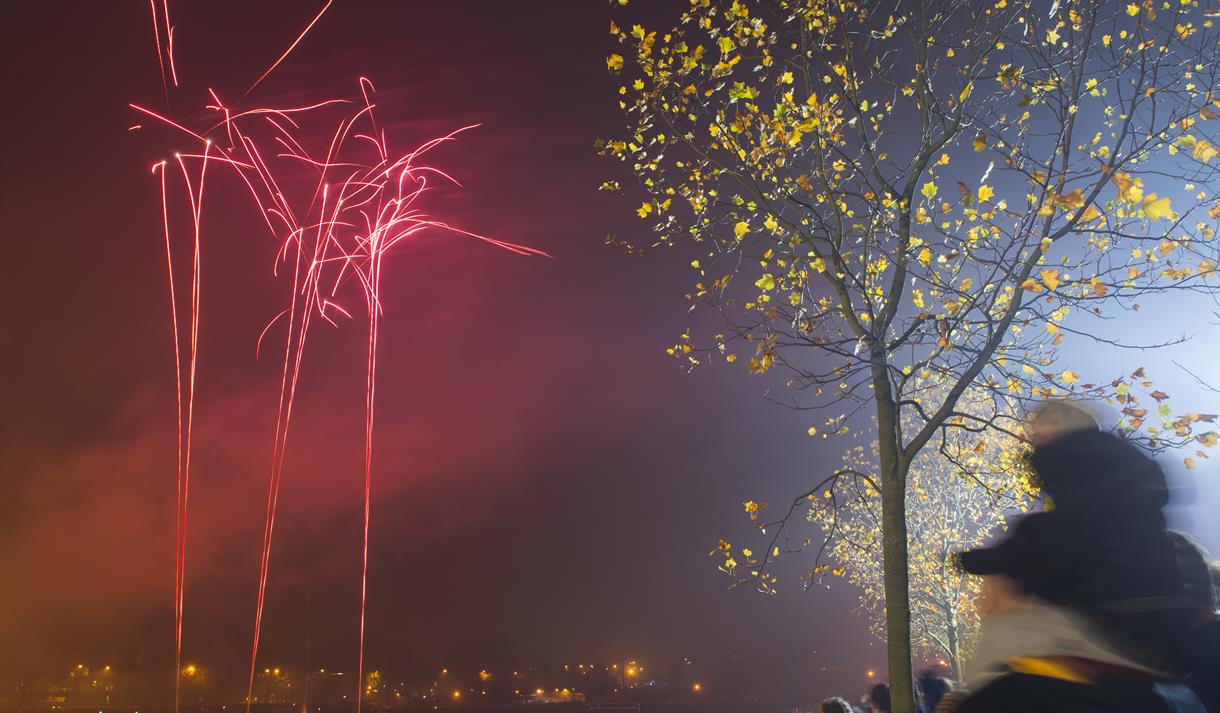 Bonfire Night on The Forest 2021