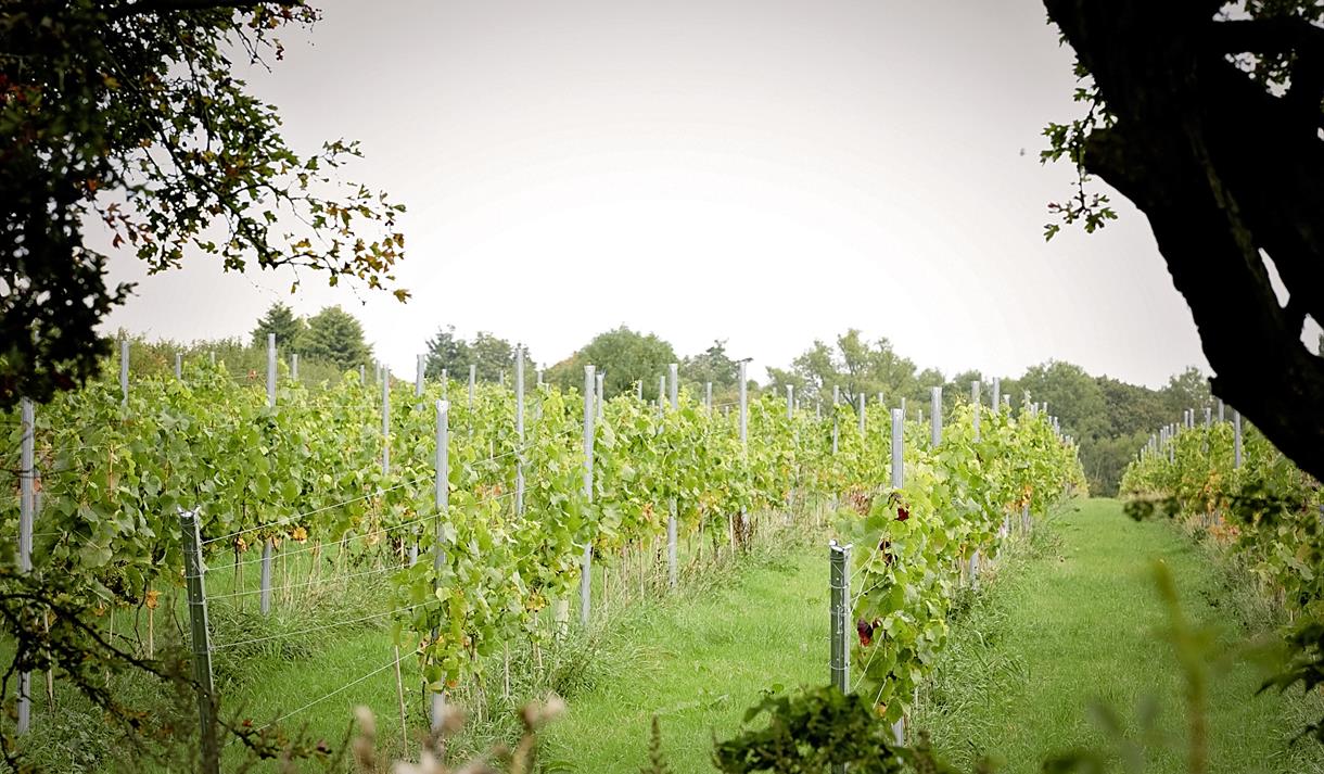 Hanwell Wine Estate | Visit Nottinghamshire