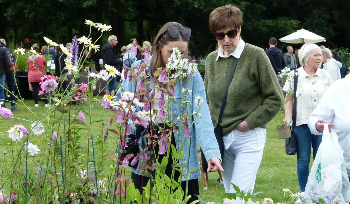 Summer Plant Hunters' Fair at Thoresby Park