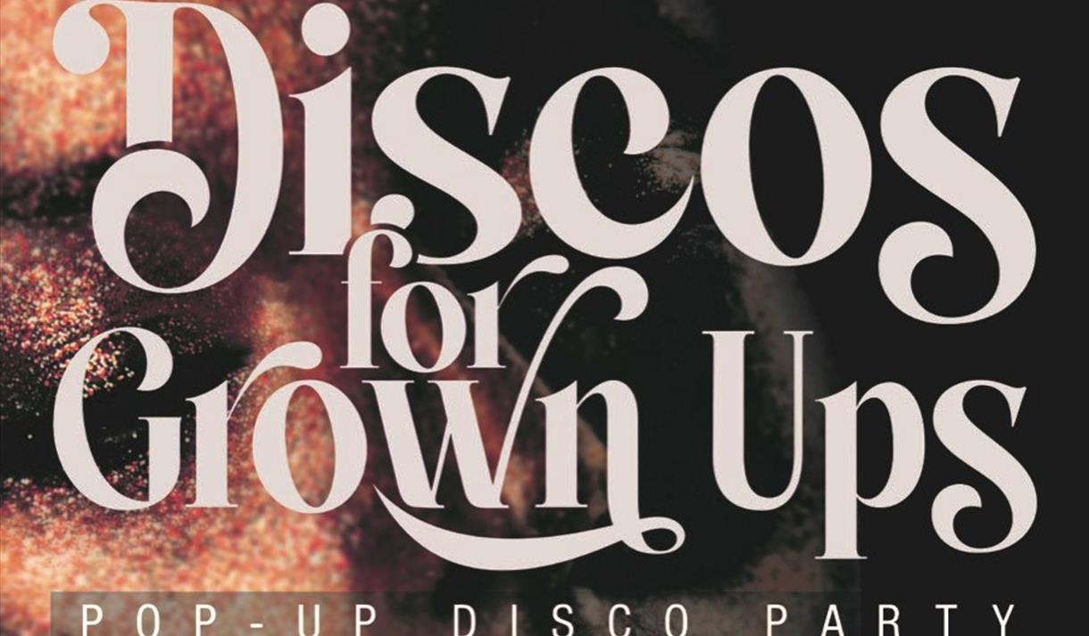Discos for Grown Ups pop - up disco parties