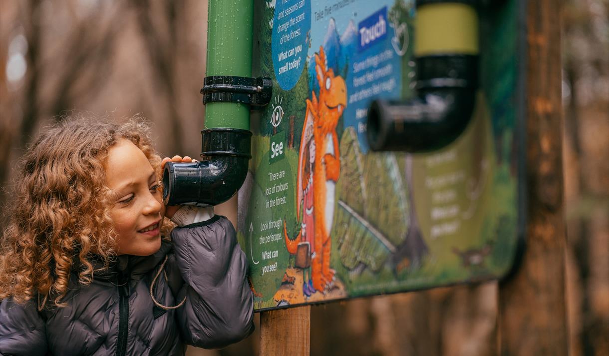 Zog activity trail at Sherwood Pines - Visit Nottinghamshire