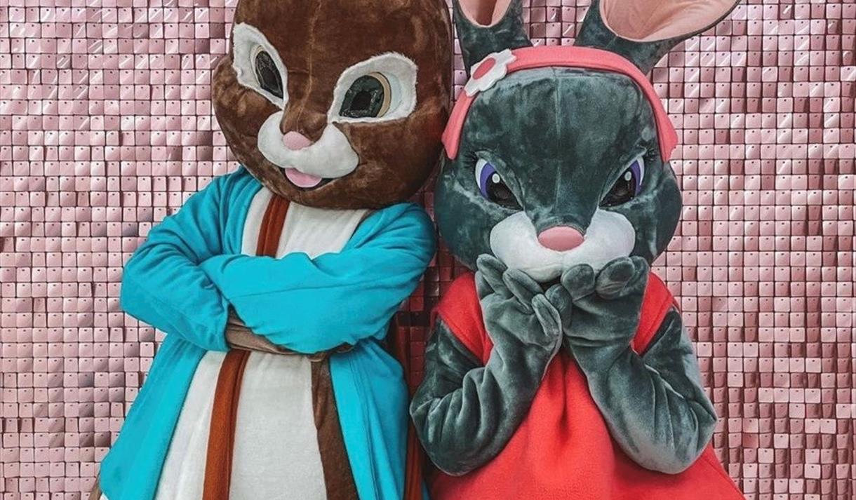 Photo of two rabbit mascots