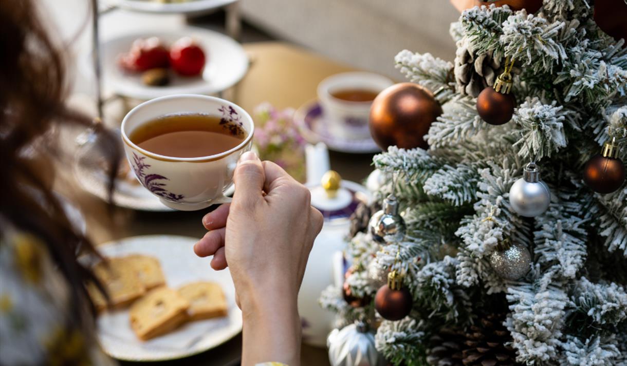 Photo of a person holding a cup of tea with a christmas tree in the background