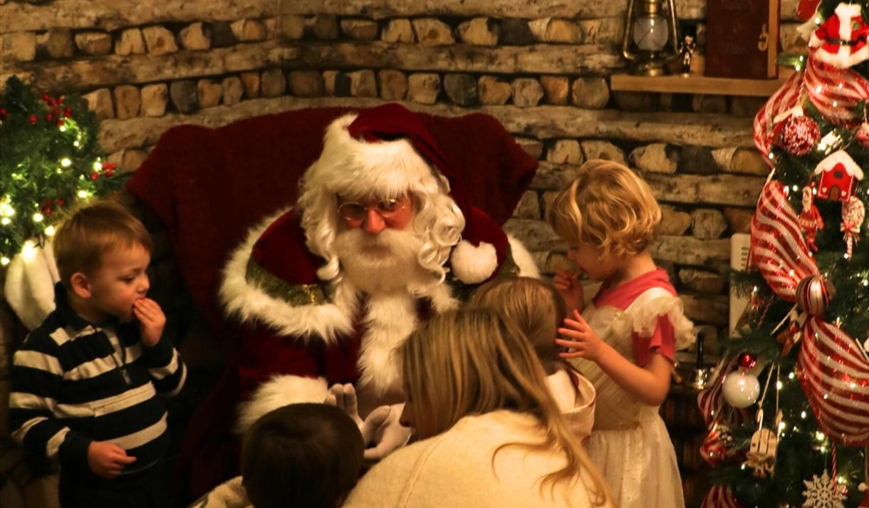 Christmas Woodland Wonderland