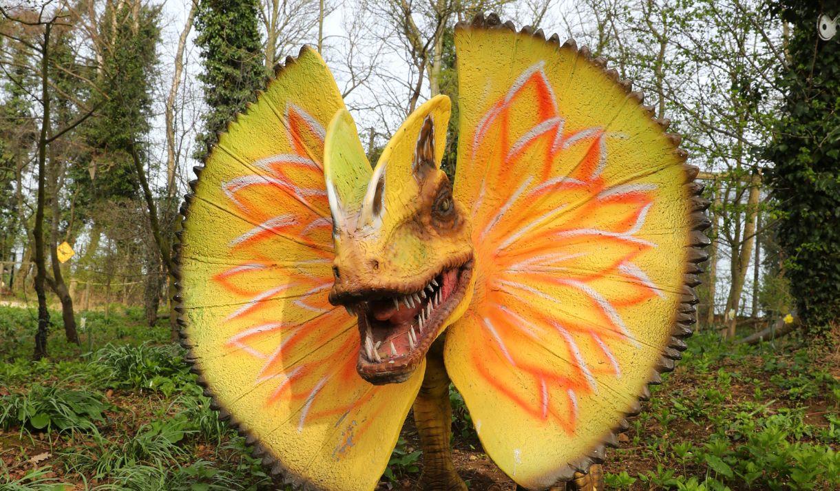 Roar and Explore! Jurassic Adventures at the Tropical Butterfly House