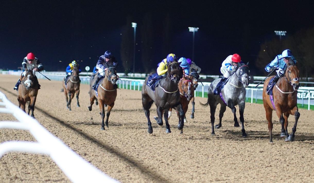 Evening Flat Racing at Southwell Racecourse
