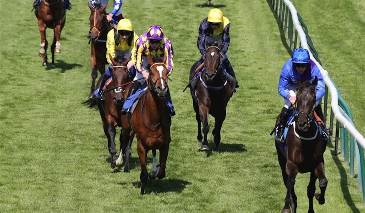 £9 Afternoon Racing at Nottingham Racecourse 2025
