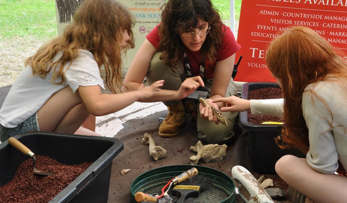 Summer Holiday Activities: Stone Age Safari