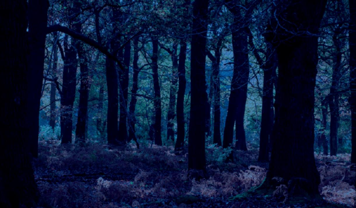 Ghosts of the Greenwood: An Evening of Stories
