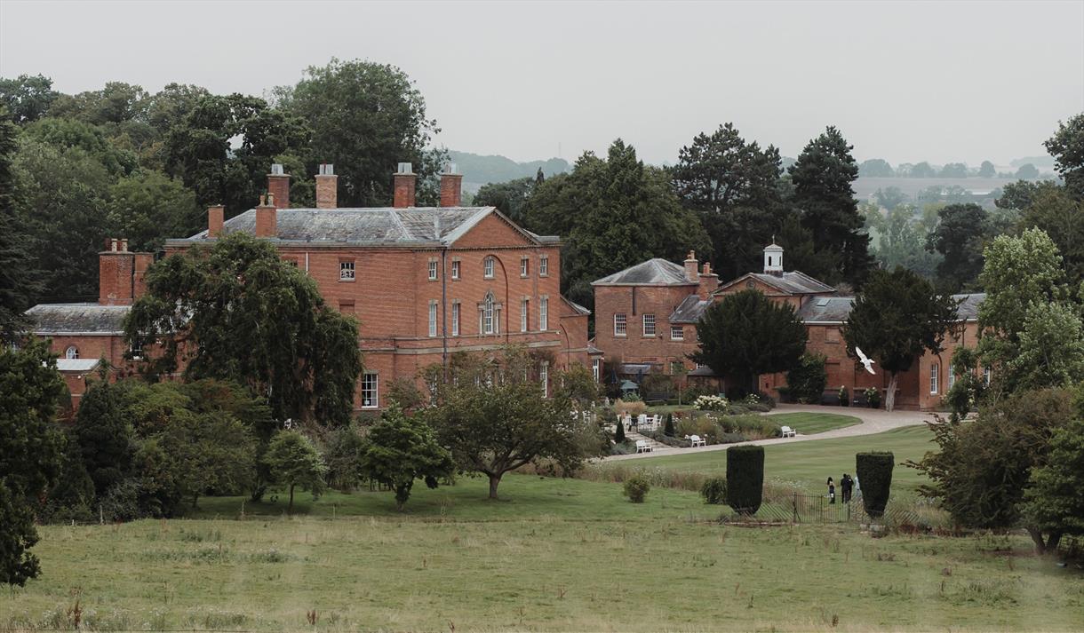 Birds Of Prey Afternoon Tea at Norwood Park 2026
