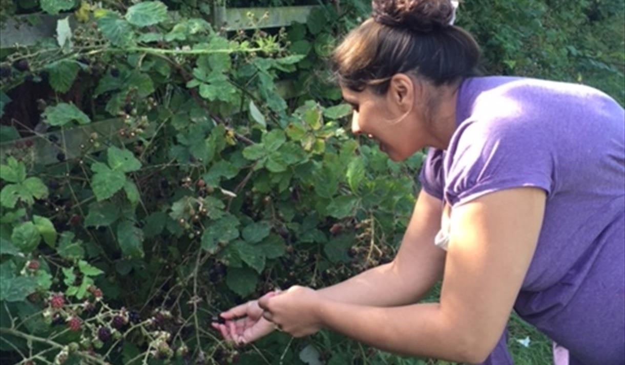 Blackberry picking 2023