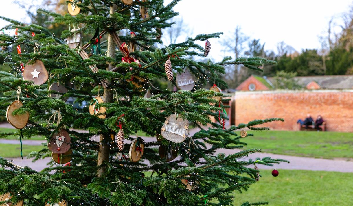 Christmas tree in the Turning Yard Jon Scrimshaw