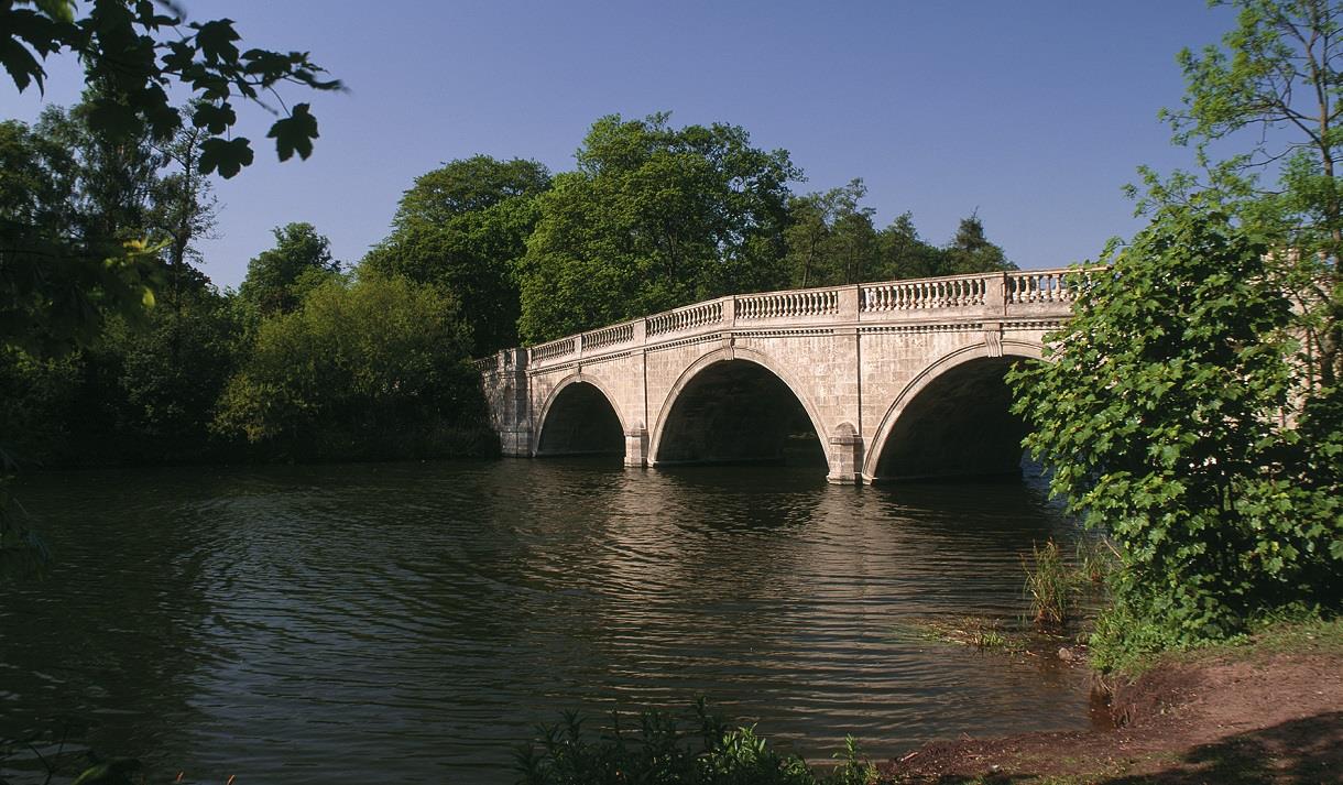 Monthly Family Dog Walk at Clumber Park