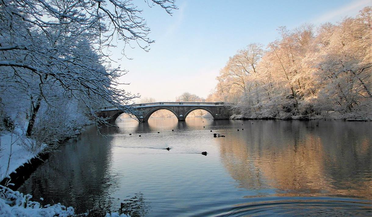Clumber Park