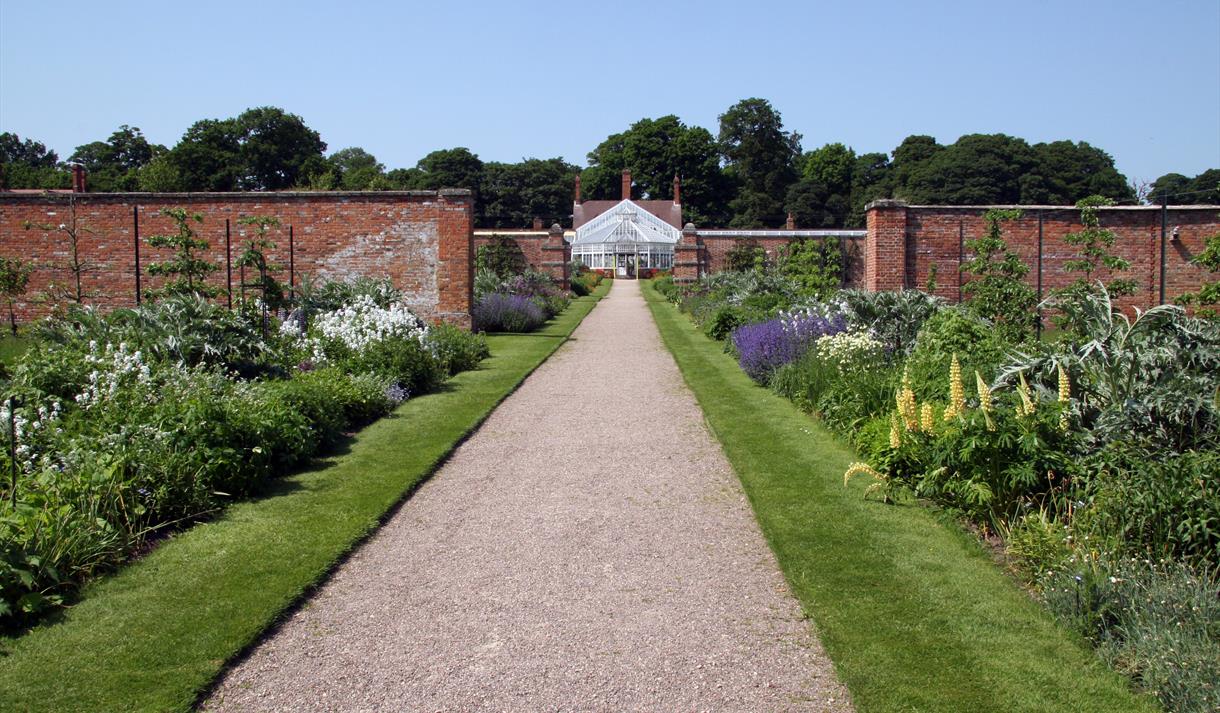 can dogs go off lead at clumber park