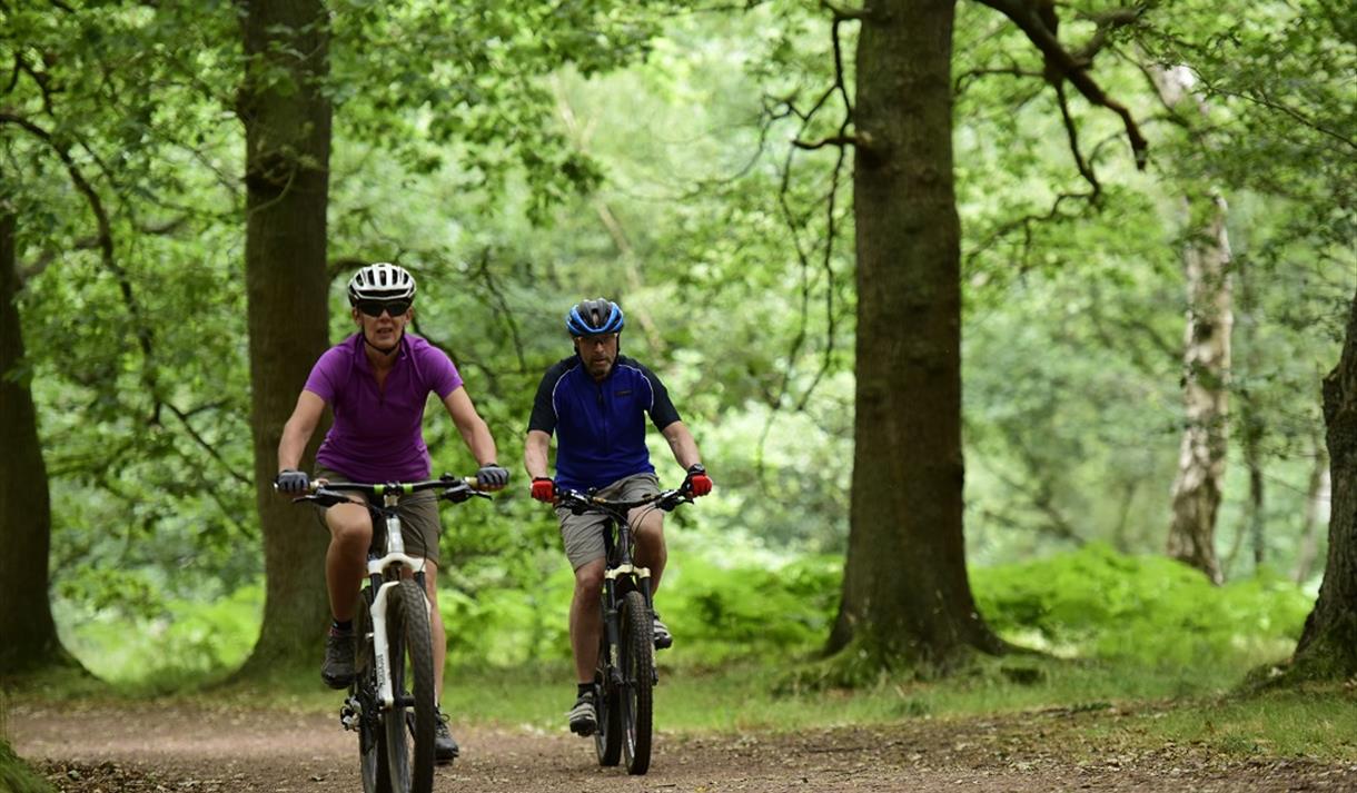 Mountain biking sherwood forest new arrivals