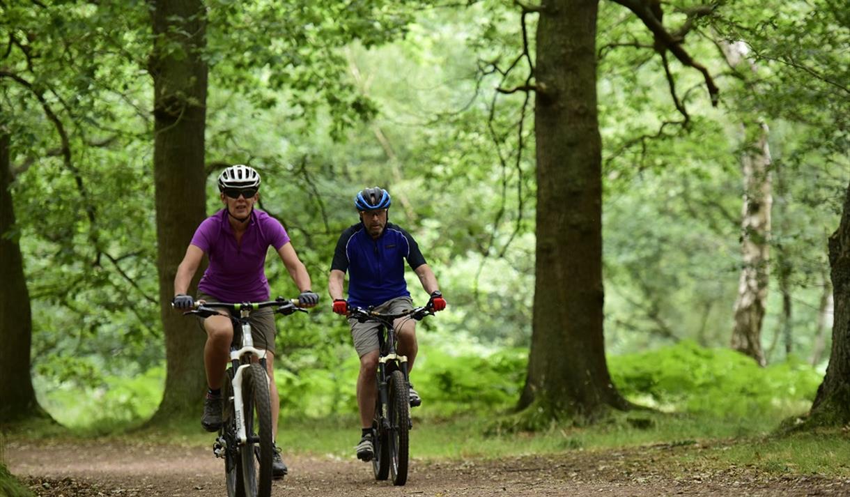 Sherwood Forest Visitor Centre & National Nature Reserve