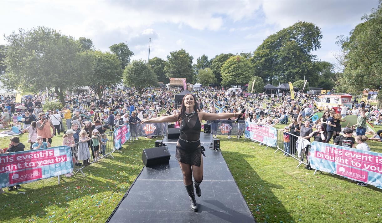 Image from a previous Ashfield Show showing a performer on stage with a large crowd behind them.