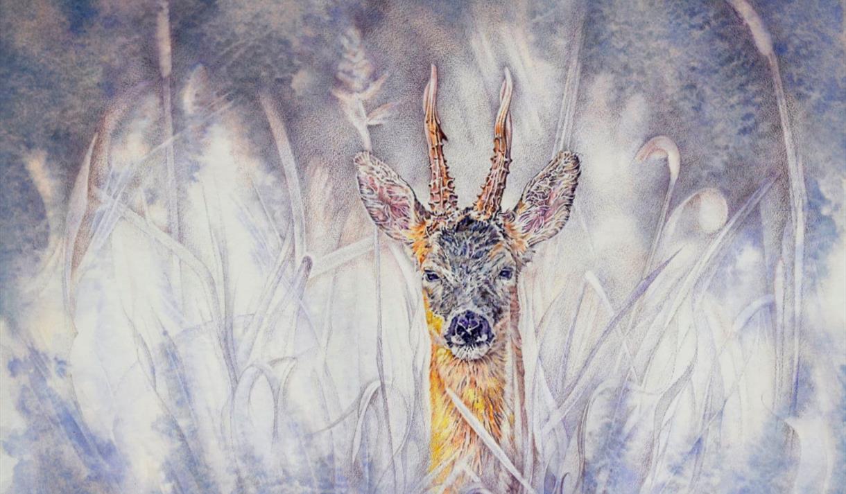 Painting of a deer looking through reeds and tall grass. There is a muted colour palette but the deer is in colour.