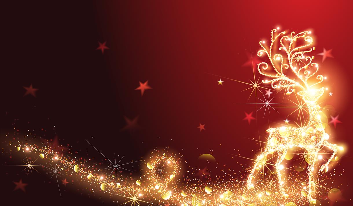 Eastwood Christmas Lights Switch On 2021 Visit Nottinghamshire