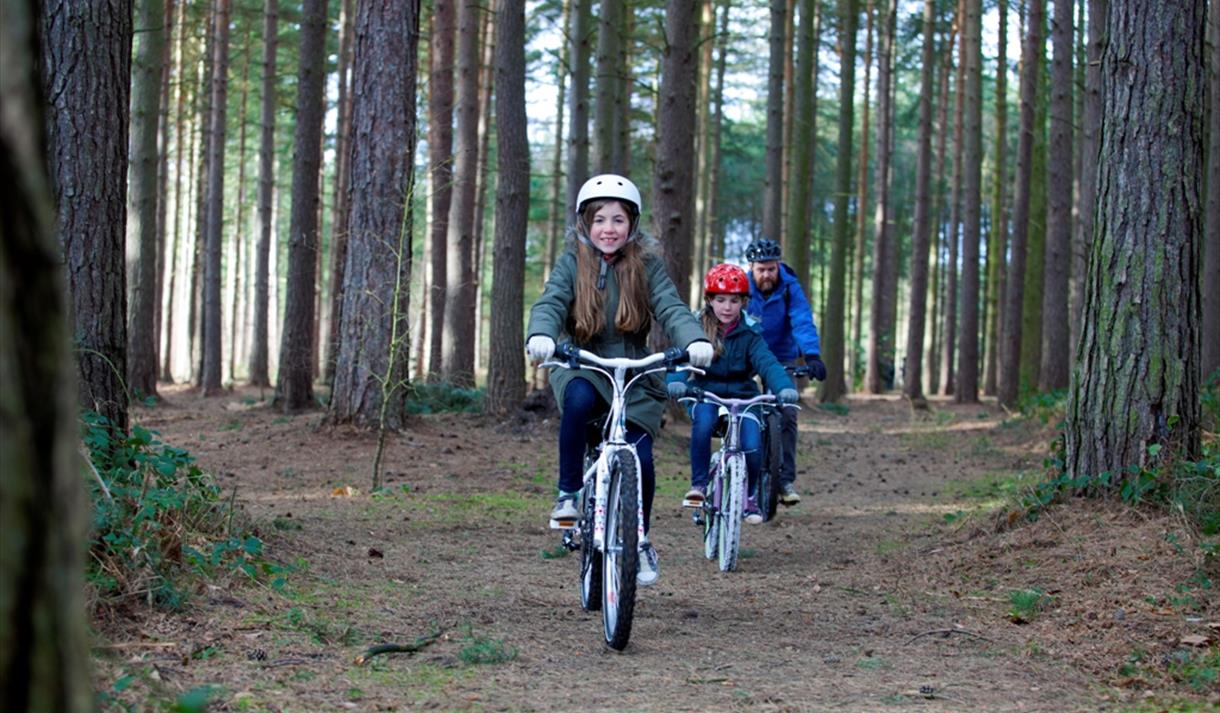 Cycling in Sherwood Forest