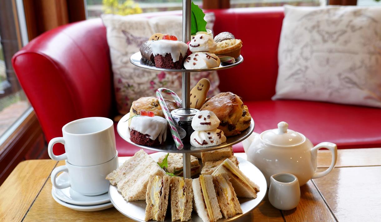 Christmas Afternoon Tea at The Tropical Butterfly House! - Visit ...