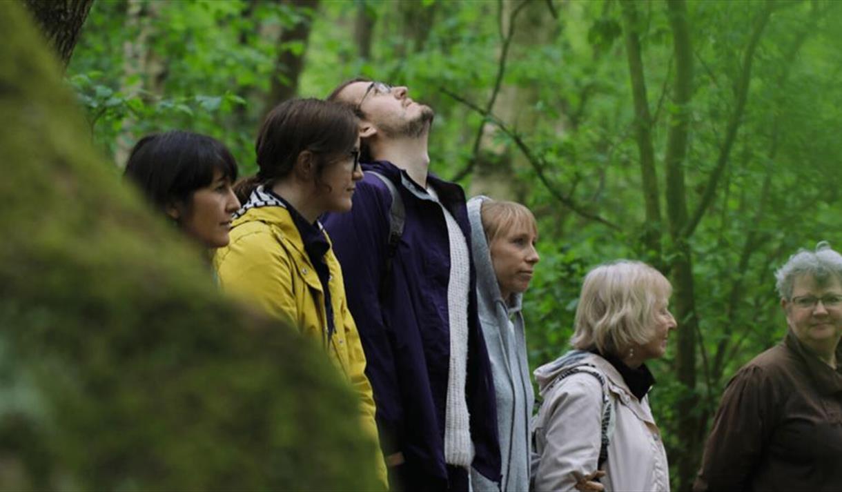 Forest Bathing
