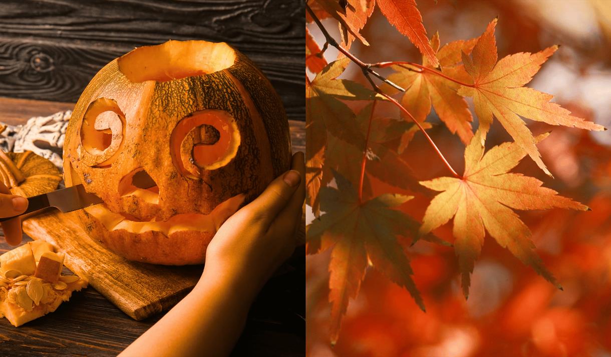 The Great Hart's Pumpkin Carving Competition
