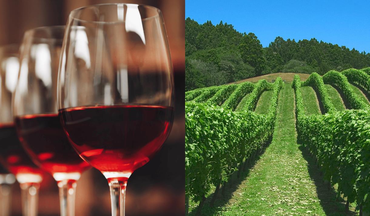 Wine Tasting & 3-Course Dinner at Hart's
