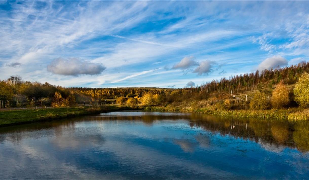 Gedling Country Park | Visit Nottinghamshire