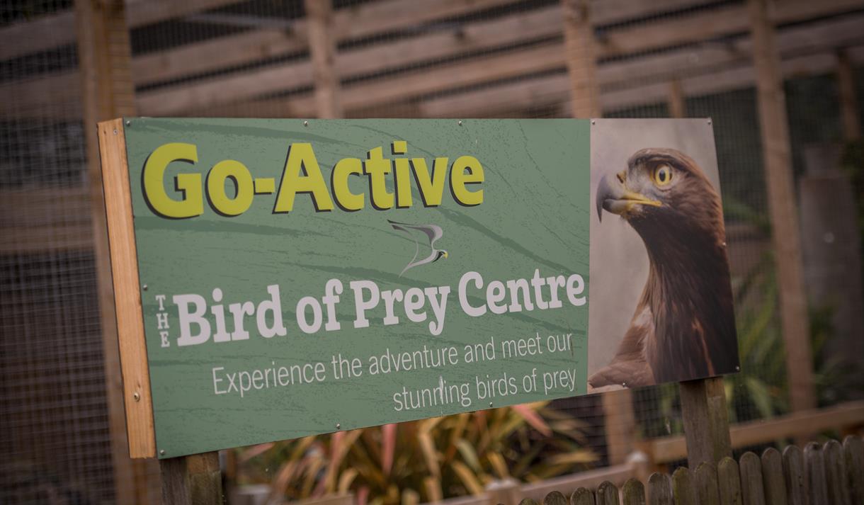 Go Active Falconry
