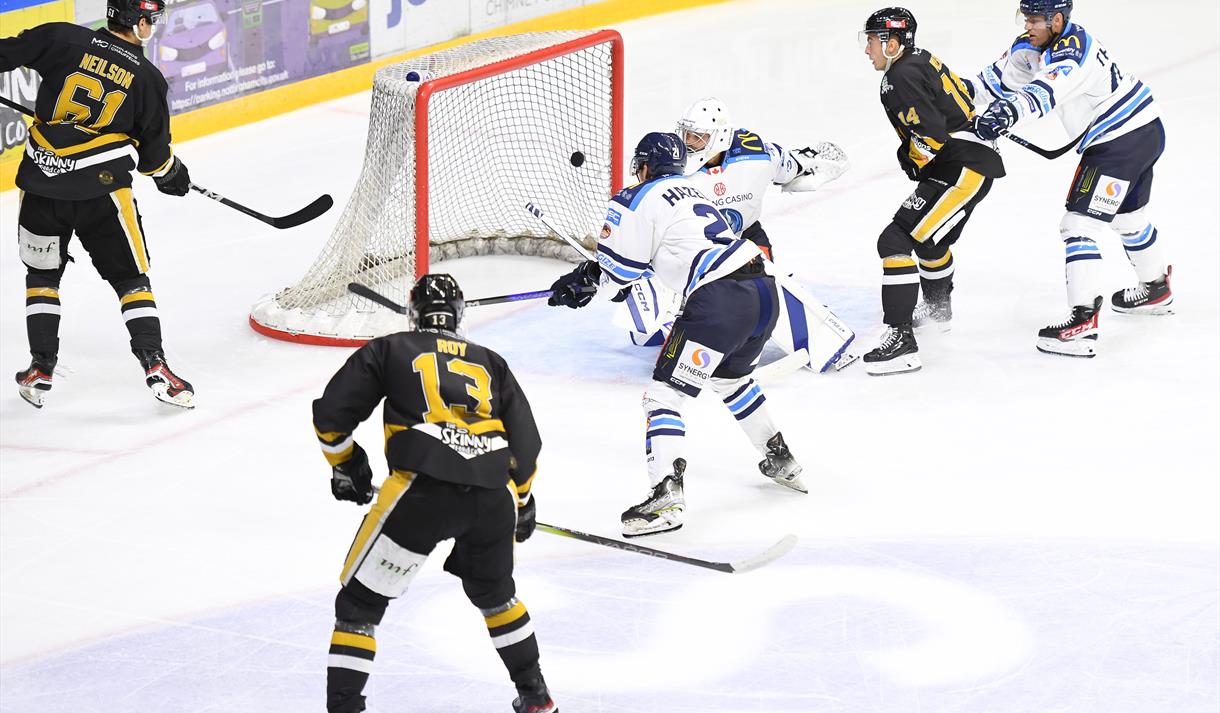 The Nottingham Panthers vs Fife Flyers