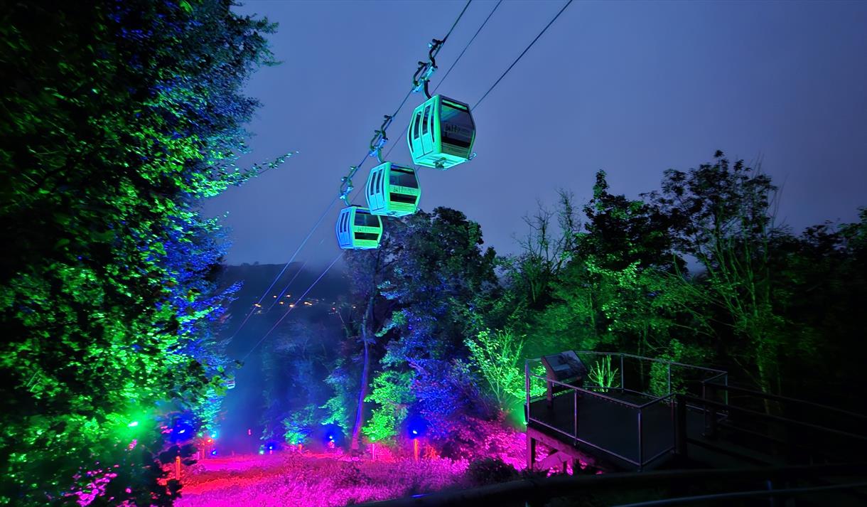 Photo of the cable cars lit up