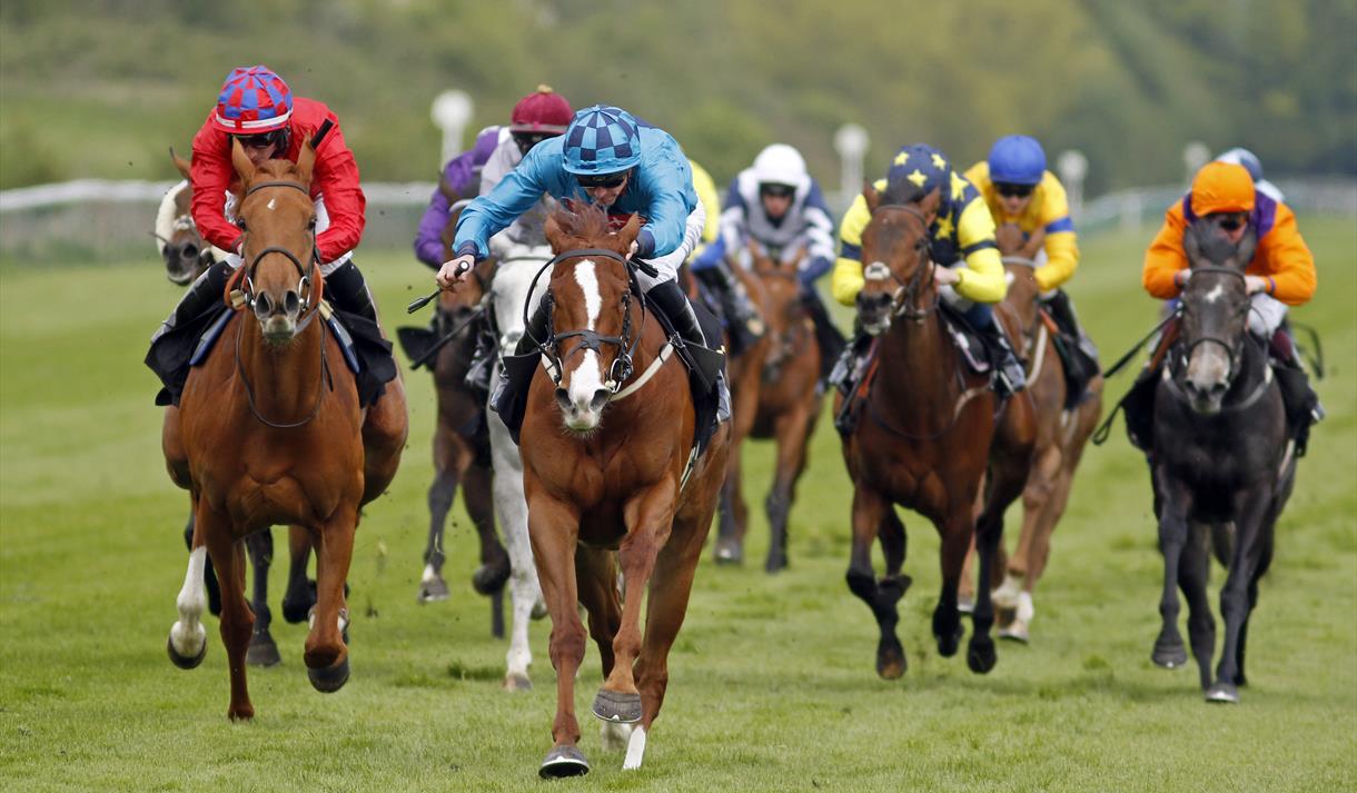 Nottinghamshire Oaks Raceday