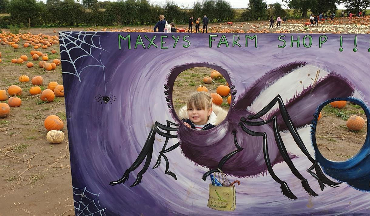 Maxeys Halloween fun