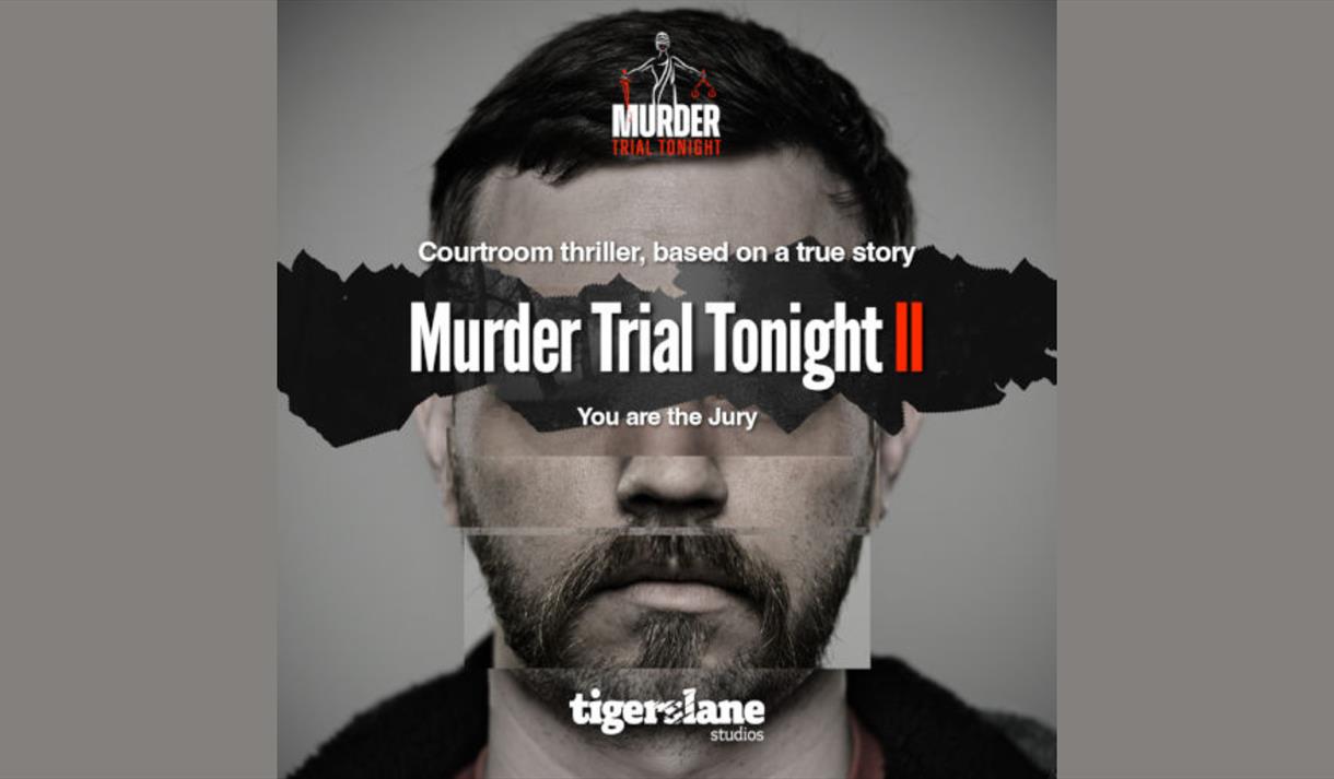 Murder Trial Tonight 2 - Tigerslane Studios
