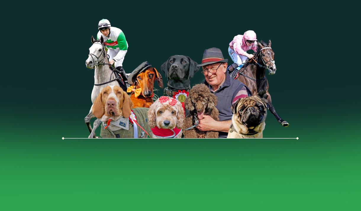 Four-Legged Friends Raceday
