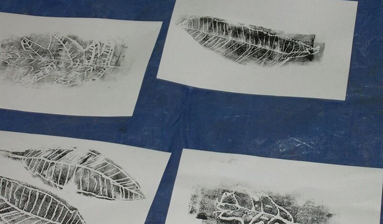 Nature in Monochrome
