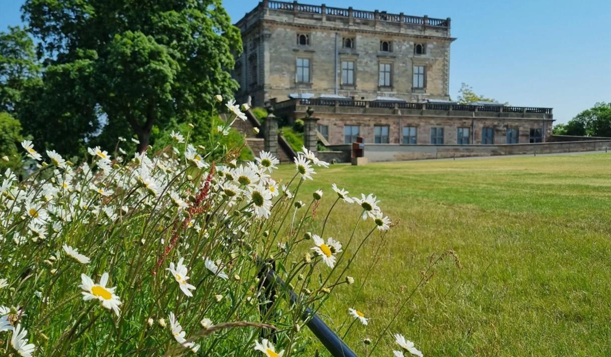 Nottingham Castle