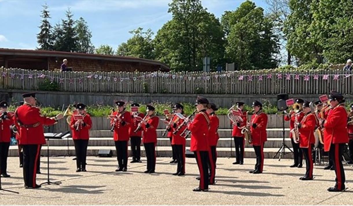 May Bank Holiday Weekend at RSPB Sherwood Forest