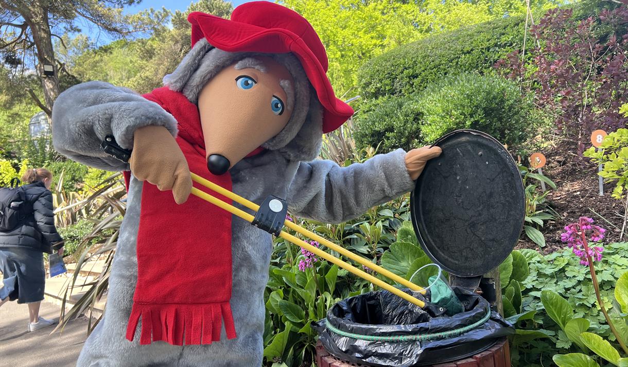Wombles of Wimbledon