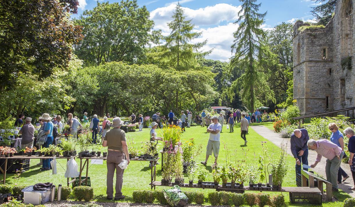 Plant Hunters Fair at Southwell Minster
