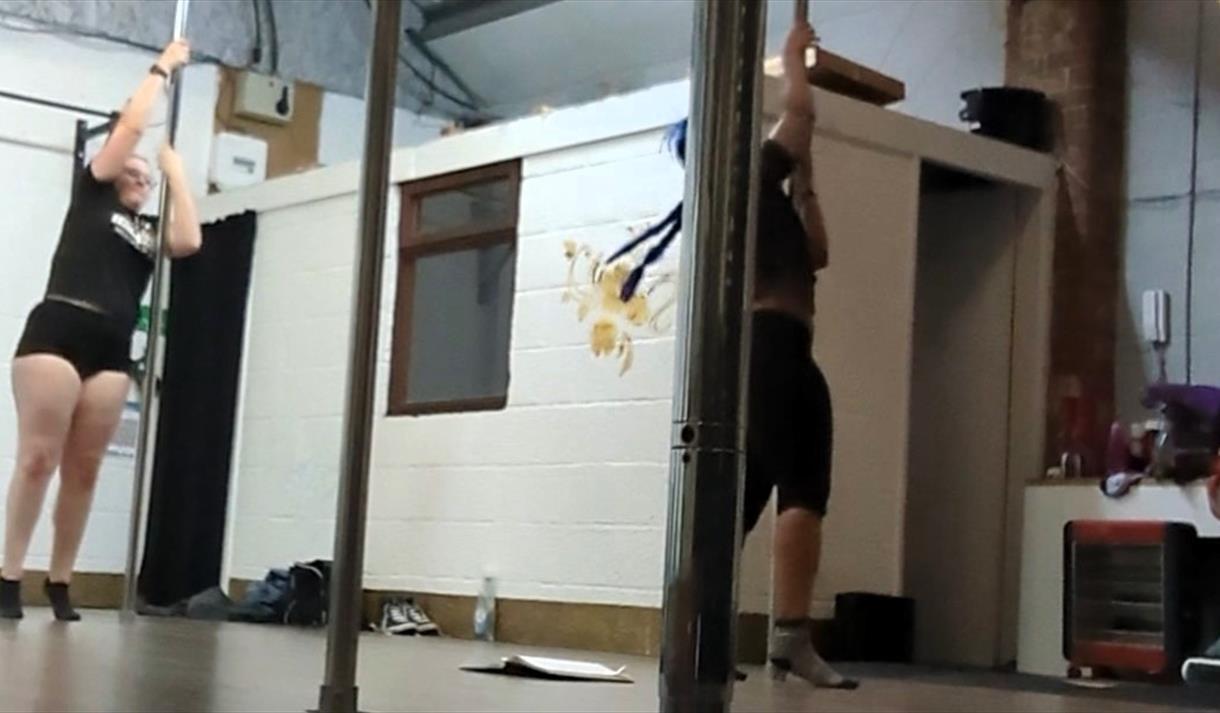 Diverse Moves - Pole exercise 
